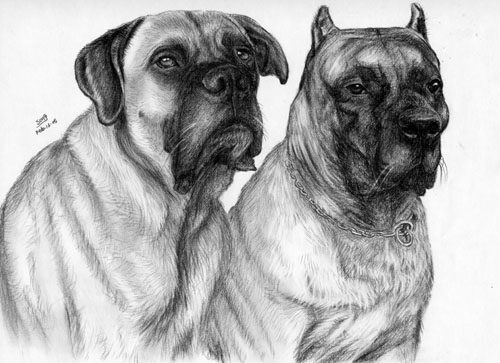 2 big dogs