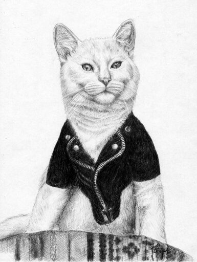 Cat in a suit