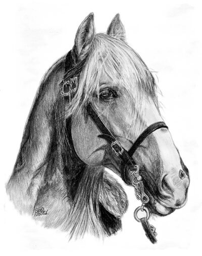 Horse