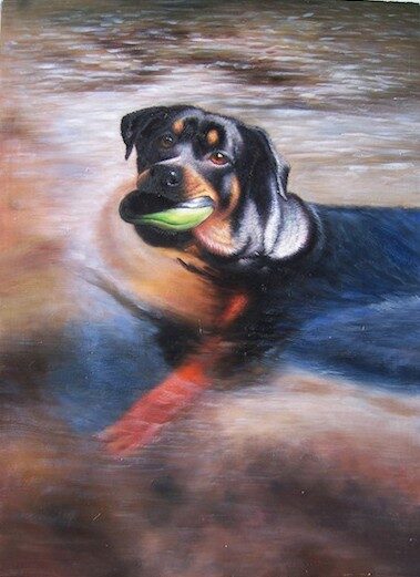 Painting   dog in water
