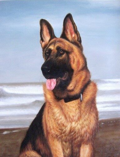Painting   german sheperd